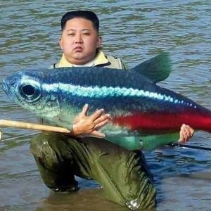 Meet your Posher, Dana